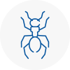 Ant Removals In Mosborough