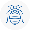 Bed Bug Extermination In Mosborough