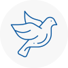 Bird Prevention Mosborough