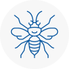 Mosborough Hornet Nest Removals