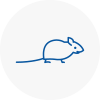 Mice Exterminators In Mosborough