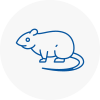 Rat Control Mosborough
