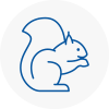 Mosborough Rodent Removals